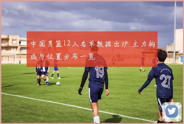 中国男篮12人名单数据出炉 主力构成与位置分布一览