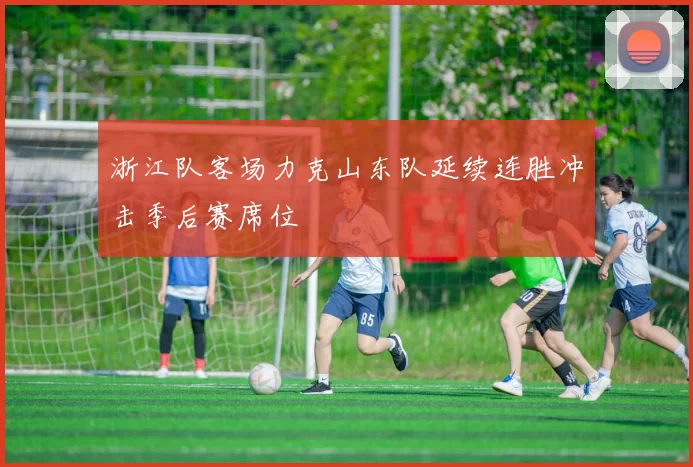 浙江队客场力克山东队延续连胜冲击季后赛席位